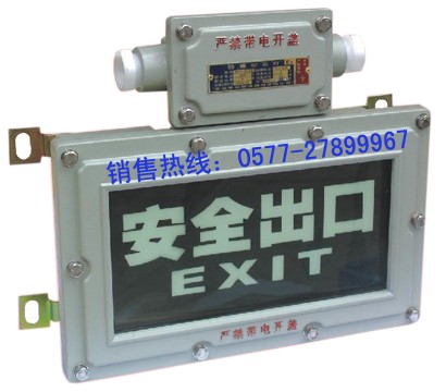供应BXE8400 防爆标志灯 ，BAYD81